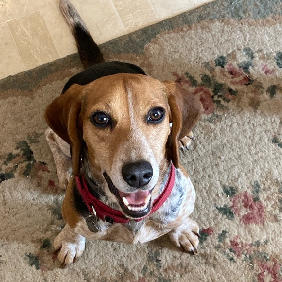 Meet your Posher, Ane - Picture 13 of 16